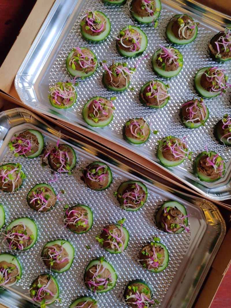Twee schalen met vegan borrelhapjes van Focus Foodbar: komkommerrondjes met huisgemaakte spread, radijsspruiten en ingelegde rode ui